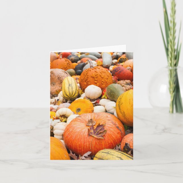 Pile Of Pumpkins And Squash Note Card (Front)