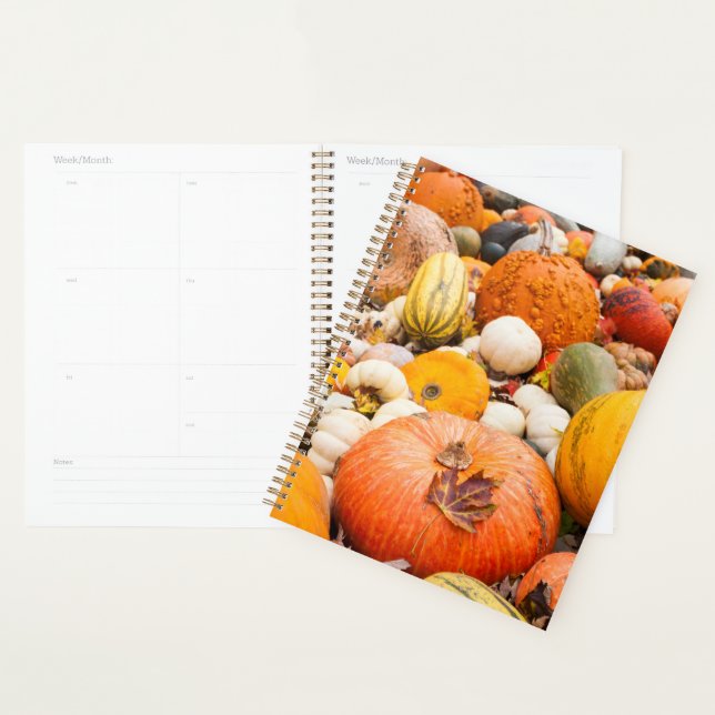 Pile Of Pumpkins And Squash Planner (Display)