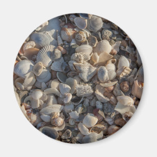 Pile Of Seashells Magnet