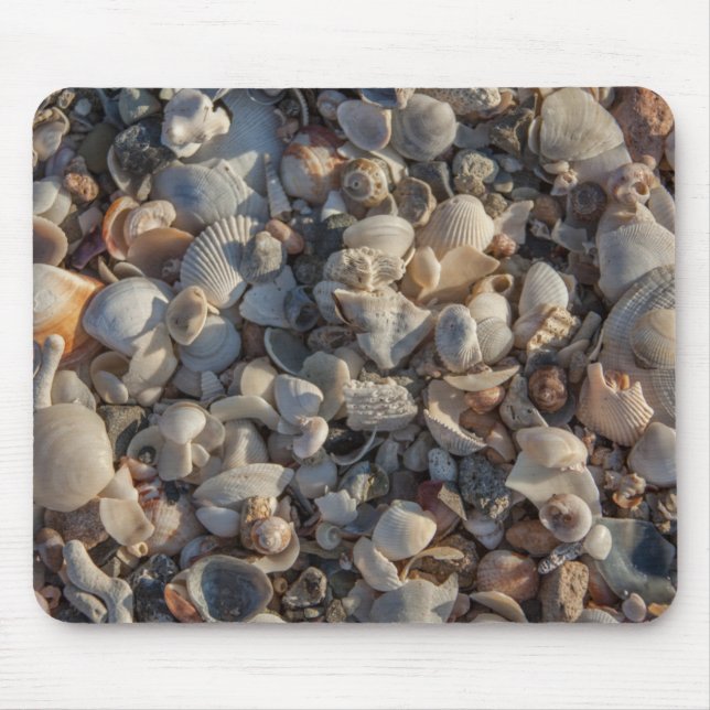 Pile Of Seashells Mouse Mat (Front)
