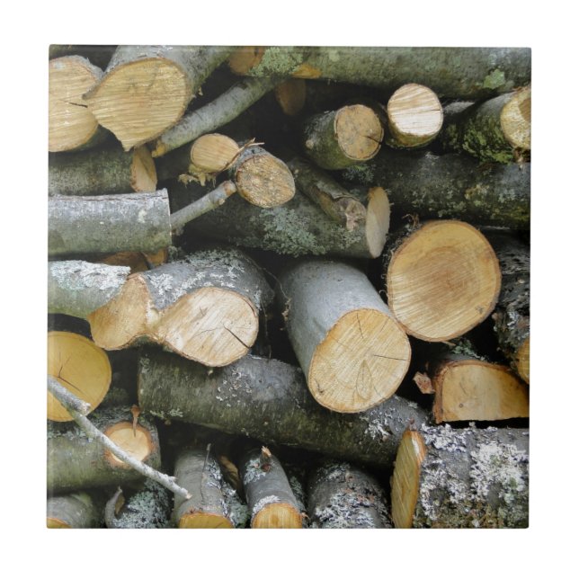 Pile of Stacked Cut Firewood Tile (Front)