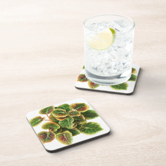 pilea leaf plastic coaster
