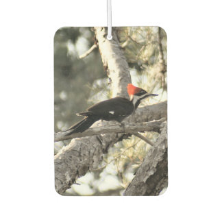 Pileated Woodpecker Air Freshener
