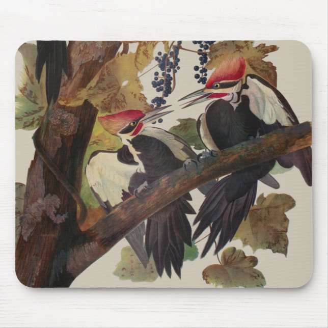 Pileated Woodpecker Audubon Bird Wildlife Painting Mouse Mat (Front)
