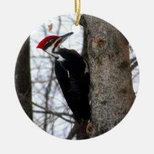 Pileated Woodpecker Ceramic Tree Decoration
