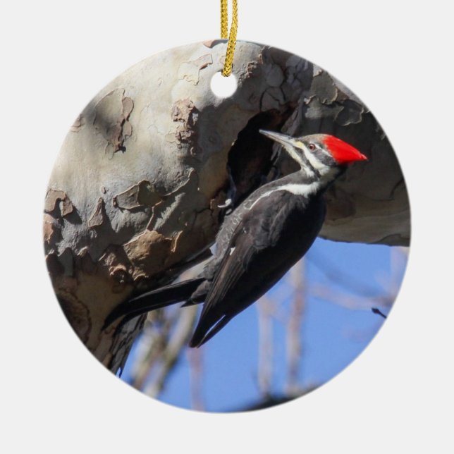 Pileated Woodpecker Ceramic Tree Decoration (Front)
