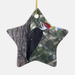 Pileated Woodpecker Ceramic Tree Decoration