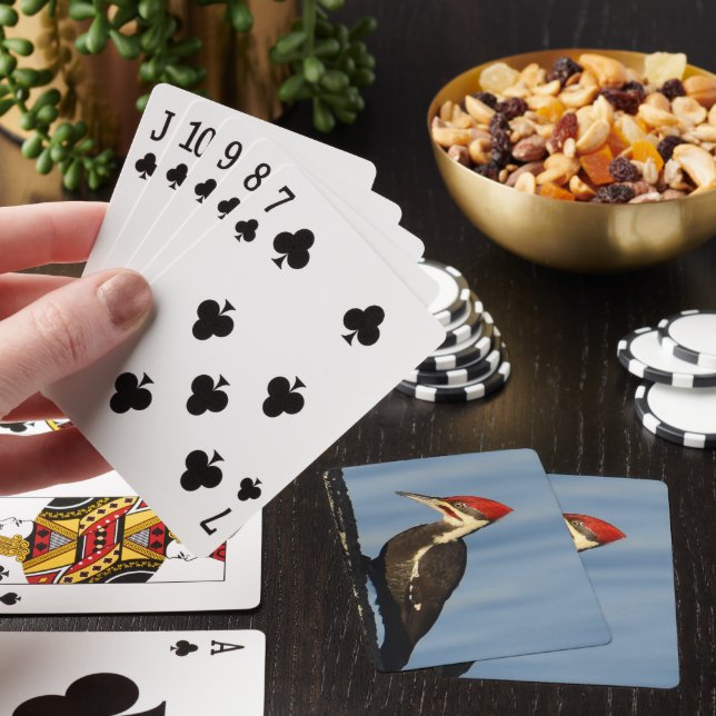 Pileated Woodpecker Classic Playing Cards (In Situ)