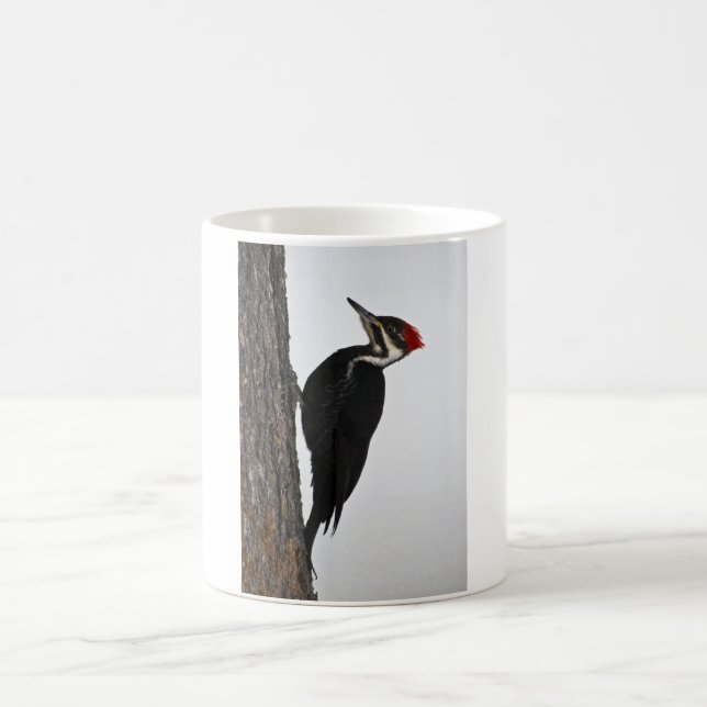 pileated woodpecker coffee mug (Center)