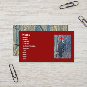 Pileated Woodpecker Coordinated Items Business Card