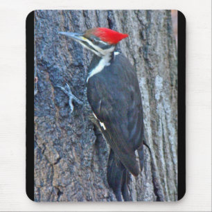 Pileated Woodpecker Coordinated Items Mouse Mat