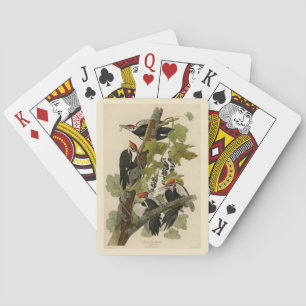 Pileated Woodpecker from Audubon Birds of America Playing Cards