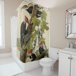 Pileated Woodpecker from Audubon Birds of America Shower Curtain