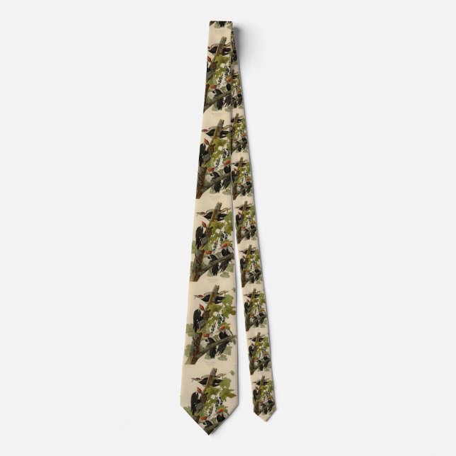 Pileated Woodpecker from Audubon Birds of America Tie (Front)