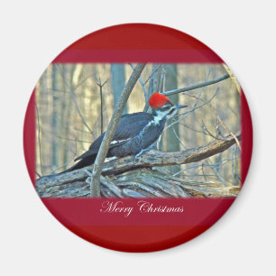 Pileated Woodpecker Merry Christmas Items Magnet