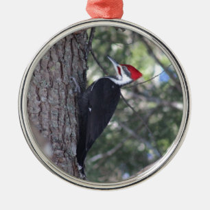 Pileated Woodpecker Metal Tree Decoration