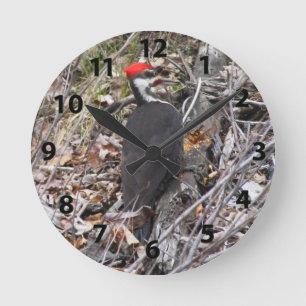 Pileated Woodpecker Pecking Wall Clock