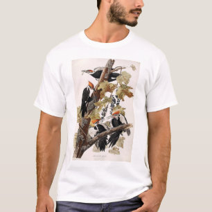 Pileated Woodpecker T-Shirt