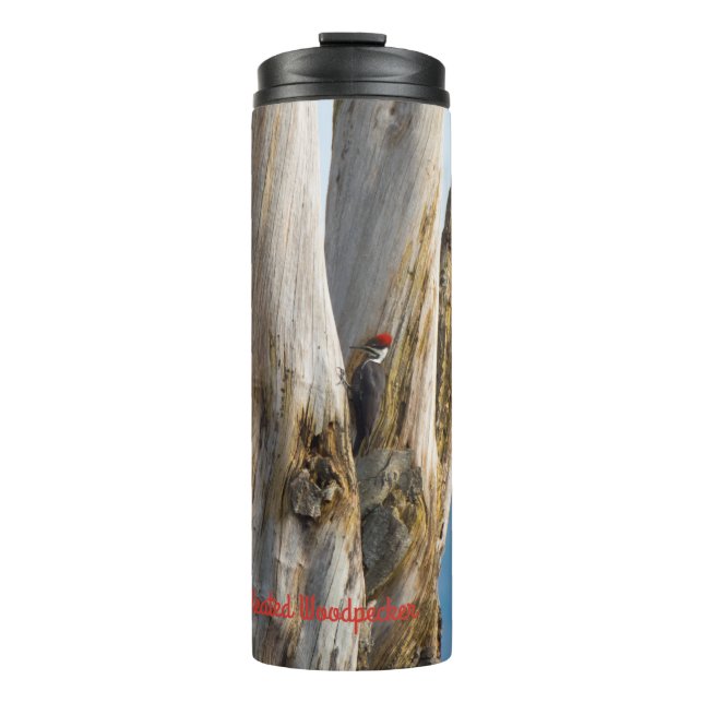 Pileated Woodpecker Thermal Tumbler (Front)