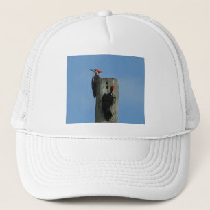 Pileated Woodpecker Trucker Hat