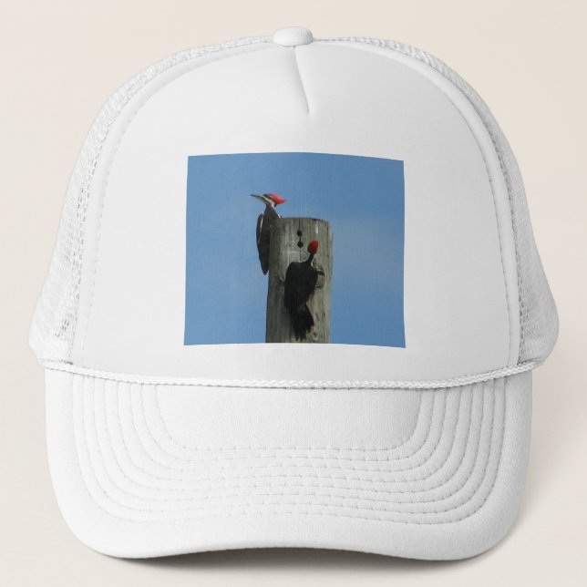 Pileated Woodpecker Trucker Hat (Front)