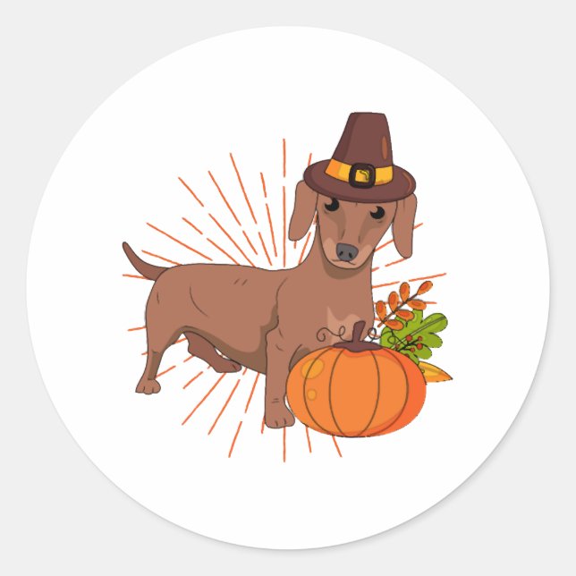 Pilgrim dachshund pumpkin leaves Thanksgiving  Classic Round Sticker (Front)