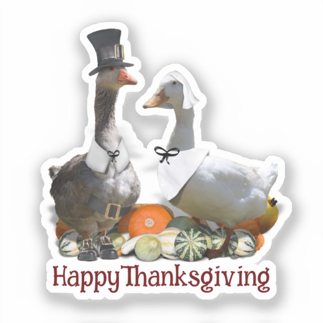 Pilgrim Goose Duck Thanksgiving  (Front)