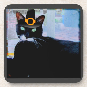 Pilgrim Lucy Coaster