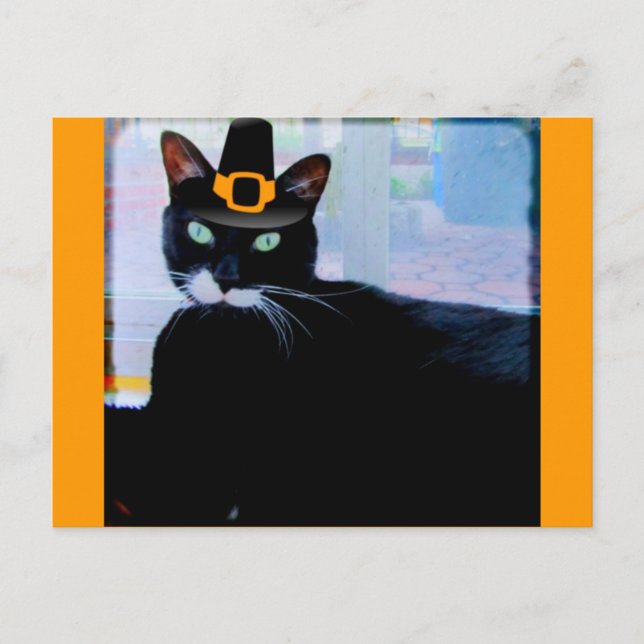 Pilgrim Lucy Postcard (Front)