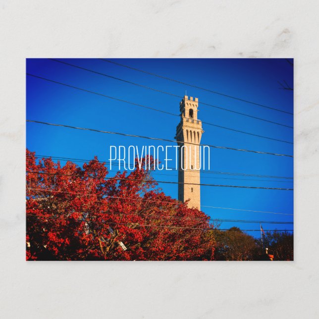 Pilgrim Monument Tower Postcard (Front)