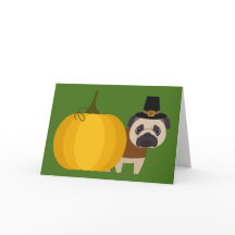 Pilgrim Thanksgiving Pug