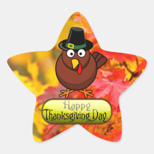 Pilgrim Turkey - Happy Thanksgiving Day Star Sticker