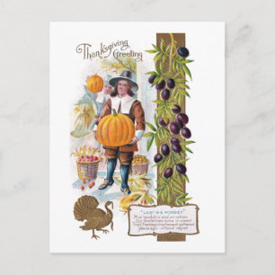 Pilgrims, Plums and Pumpkins Vintage Thanksgiving Holiday Postcard