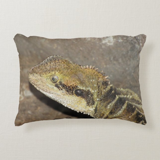 pill decorative cushion (Front)