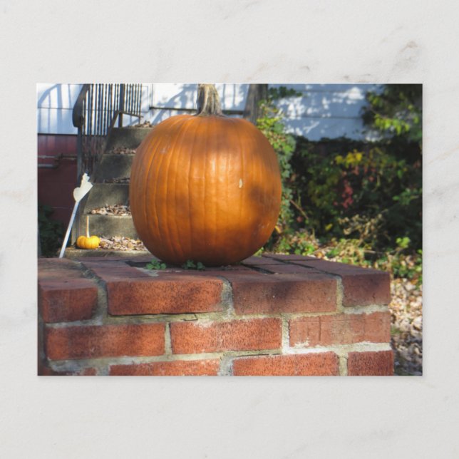 Pillar Pumpkin Postcard (Front)