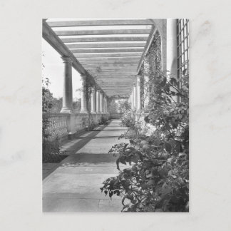 PILLARS POSTCARD