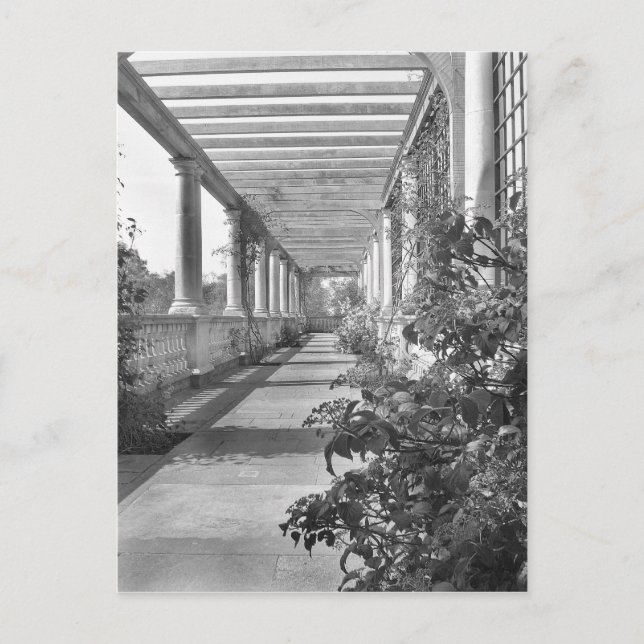 PILLARS POSTCARD (Front)