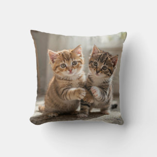 Pilloe Cushion