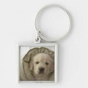 Pillow around dog key ring