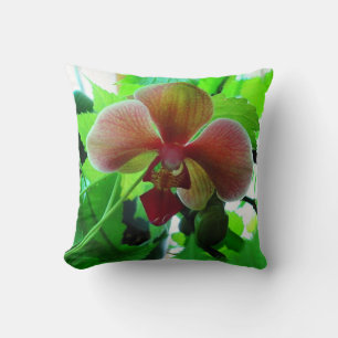 Pillow, Beautiful Phalaenopsis Orchid photograph Cushion