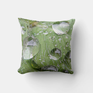 Pillow big waterdrops on a green leaf