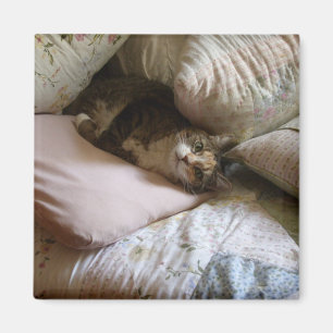 Pillow cat magnet