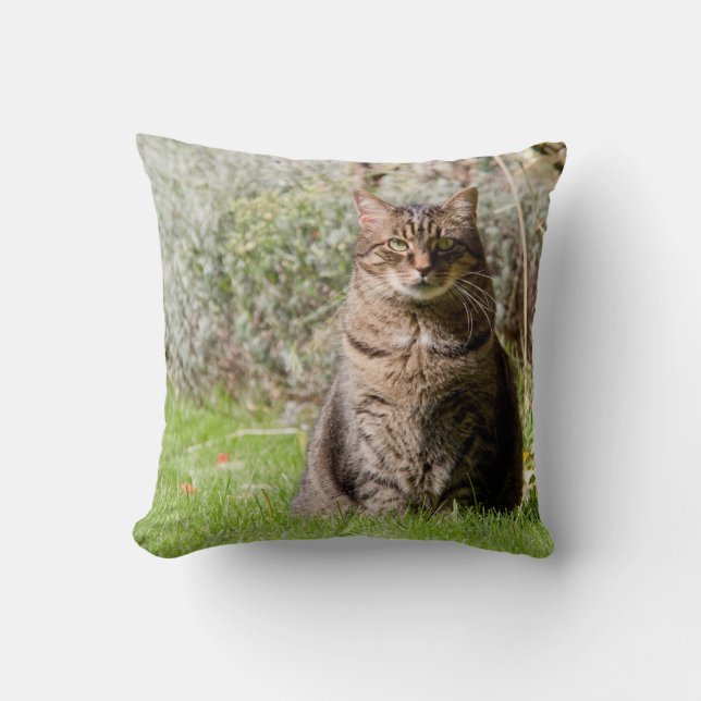 Pillow - Cat - two images - 01 (Front)