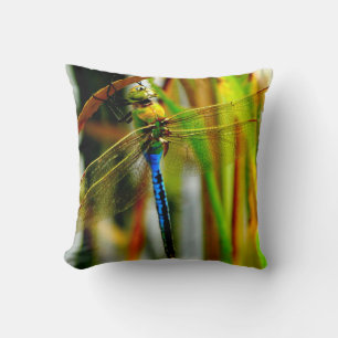 Pillow Green and teal blue dragonfly, green eyes