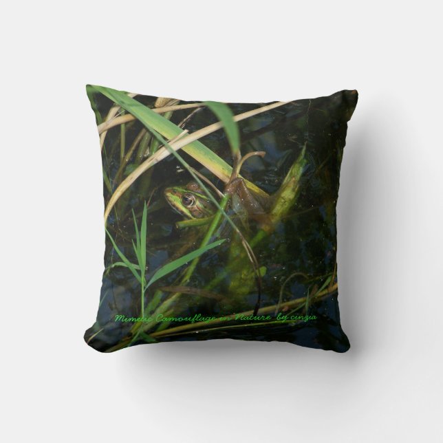Pillow (Green) with mimetic frog (Front)