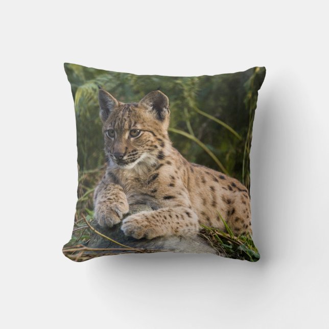 pillow - lynx (Front)