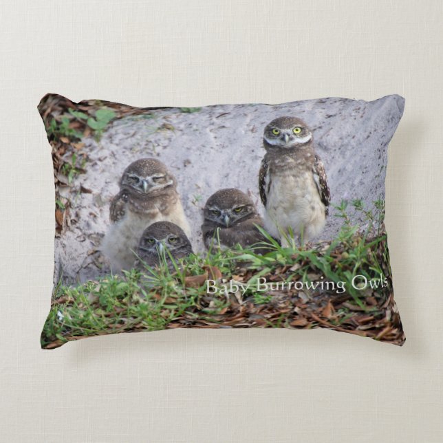 Pillow of Baby Burrowing Owls (Front)