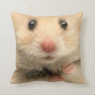 Pillow pet hamster