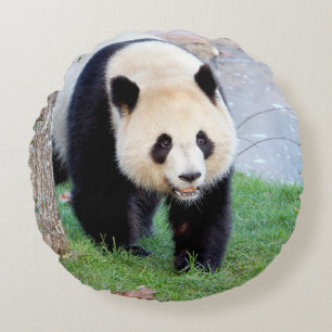 Pillow photo giant panda.