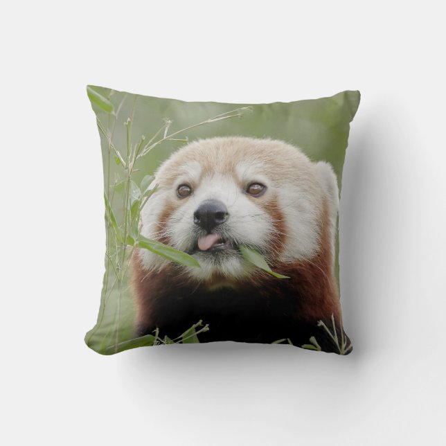 Pillow photo red panda. (Front)